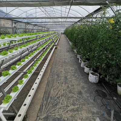 Aquaponics Growing Greenhouse Hydroponics System Automatic Watering Vertical Nft Hydroponics Growing System