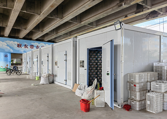 Insulation Board Mushroom Grow Room 20ft High Capacity Mushroom Growing Container