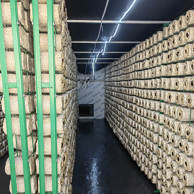 Insulation Board Mushroom Grow Room 20ft High Capacity Mushroom Growing Container
