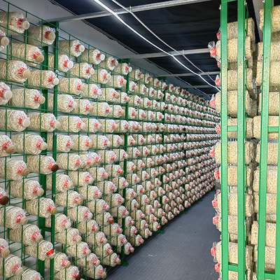 Insulation Board Mushroom Grow Room 20ft High Capacity Mushroom Growing Container