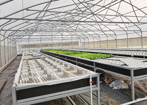 DWC deep water culture Hydroponics System Vertical Hydroponic For Agriculture