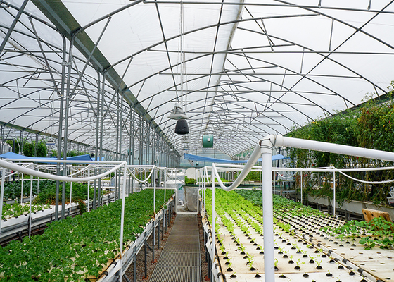 DWC deep water culture Hydroponics System Vertical Hydroponic For Agriculture