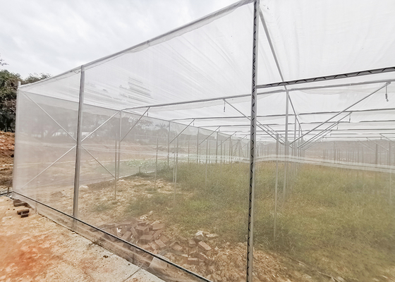 Multi Span Shade Net Greenhouse Rustproof For Strawberry And Mushroom