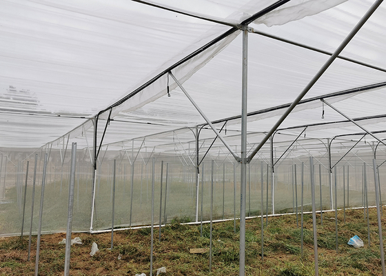 Multi Span Shade Net Greenhouse Rustproof For Strawberry And Mushroom