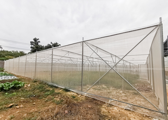 Multi Span Shade Net Greenhouse Rustproof For Strawberry And Mushroom