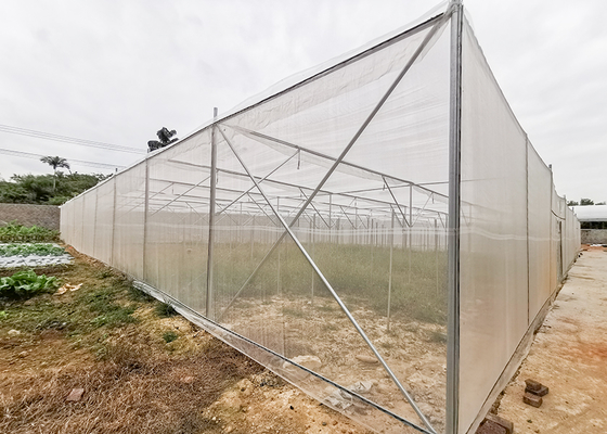 Multi Span Shade Net Greenhouse Rustproof For Strawberry And Mushroom