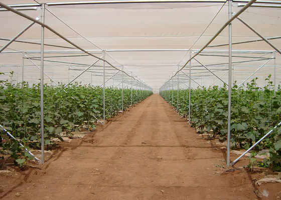 Multi Span Shade Net Greenhouse Rustproof For Strawberry And Mushroom