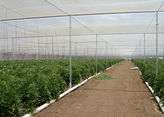 Multi Span Shade Net Greenhouse Rustproof For Strawberry And Mushroom