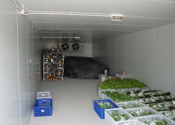 Portable Living Prefabricated Container House For Agriculture Farm In Customized Color