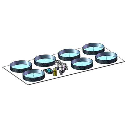 PVC Tarpaulin Ras Recirculating Aquaculture System With Automatic Feeding