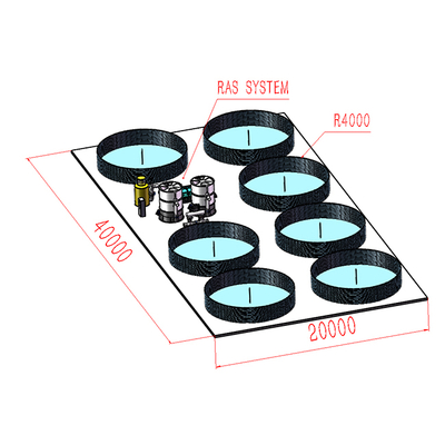 PVC Tarpaulin Ras Recirculating Aquaculture System With Automatic Feeding