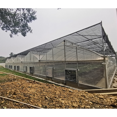 Hot Dipped Galvanized Steel Pipe Greenhouse Vent for Open Ventilation and Ridge Roof