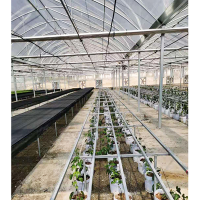 Hot Dipped Galvanized Steel Pipe Greenhouse Vent for Open Ventilation and Ridge Roof