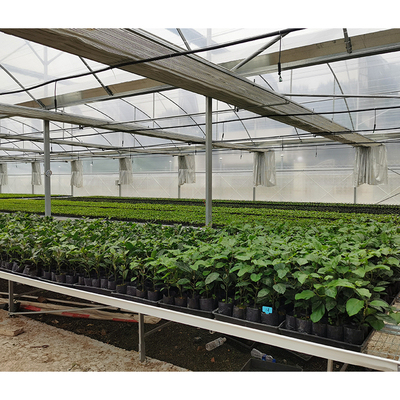 Hot Dipped Galvanized Steel Pipe Greenhouse Vent for Open Ventilation and Ridge Roof
