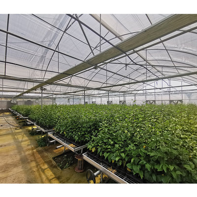 Hot Dipped Galvanized Steel Pipe Greenhouse Vent for Open Ventilation and Ridge Roof