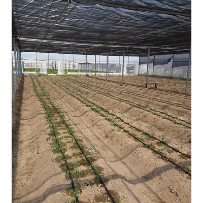 Hot Dipped Galvanized Steel Pipe Greenhouse Vent for Open Ventilation and Ridge Roof