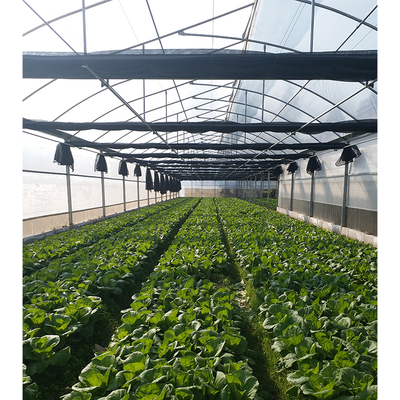Vegetable Cultivation Plastic Tunnel Greenhouse 12m Width Single Layer
