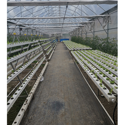 Vegetable Cultivation Plastic Tunnel Greenhouse 12m Width Single Layer