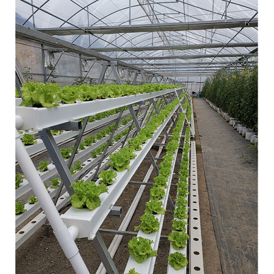 2-5m Shoulder Height High Tunnel Sawtooth Greenhouse for Commercial Plant Cultivation
