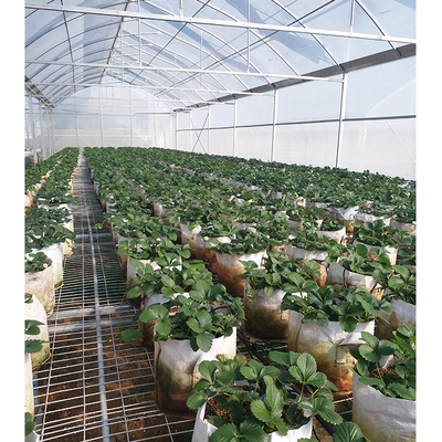 2-5m Shoulder Height High Tunnel Sawtooth Greenhouse for Commercial Plant Cultivation