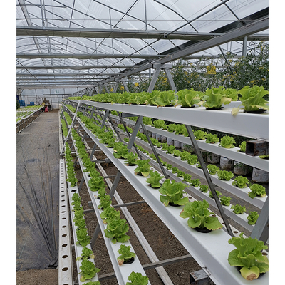 2-5m Shoulder Height High Tunnel Sawtooth Greenhouse for Commercial Plant Cultivation