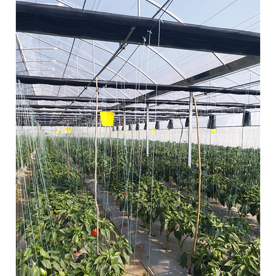 Vegetable Cultivation Plastic Tunnel Greenhouse 12m Width Single Layer