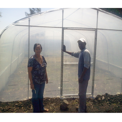 Vegetable Single Span Greenhouse Customized Small Outdoor Greenhouses IGreen