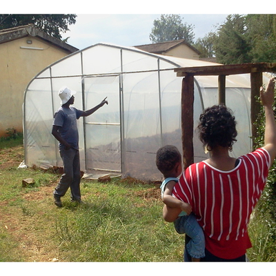 Vegetable Single Span Greenhouse Customized Small Outdoor Greenhouses IGreen