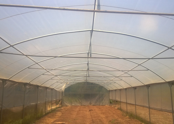 Single Span Greenhouse 8-12m Wide with 90mph Wind Resistance