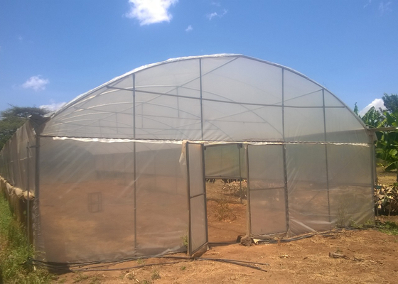 Single Span Greenhouse 8-12m Wide with 90mph Wind Resistance