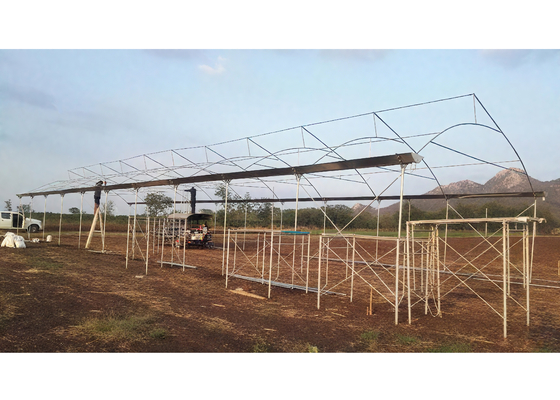 Single Span Greenhouse 8-12m Wide with 90mph Wind Resistance